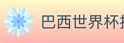 巴西世界杯投注入口 logo